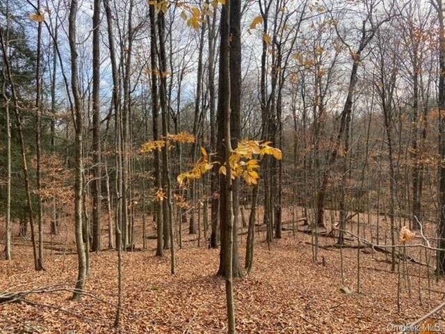 Glenwild Drive, Smallwood, NY 12778