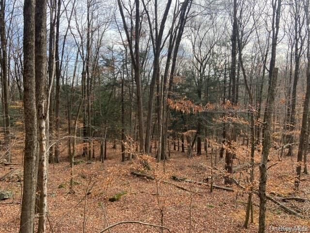 Glenwild Drive, Smallwood, NY 12778