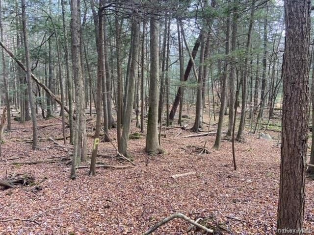 Glenwild Drive, Smallwood, NY 12778