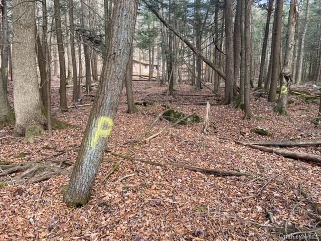 Glenwild Drive, Smallwood, NY 12778