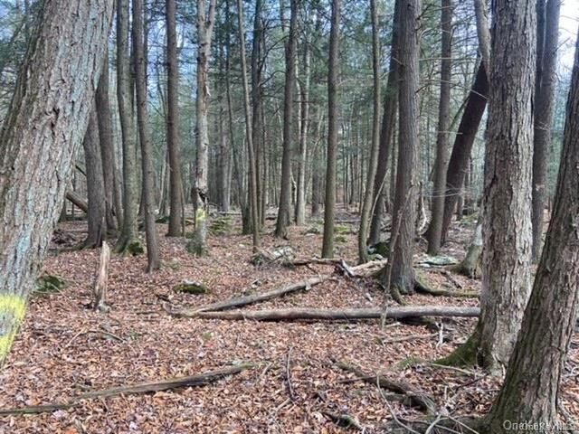 Glenwild Drive, Smallwood, NY 12778