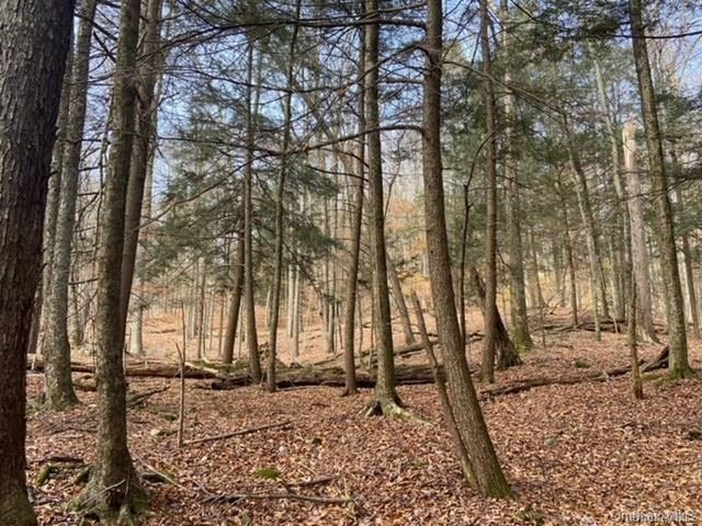 Glenwild Drive, Smallwood, NY 12778