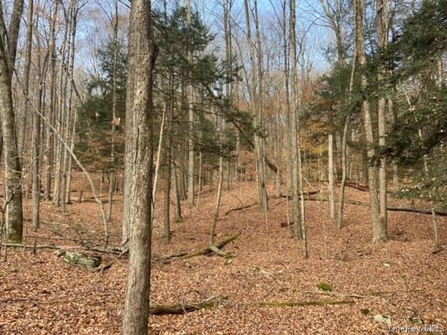 Glenwild Drive, Smallwood, NY 12778