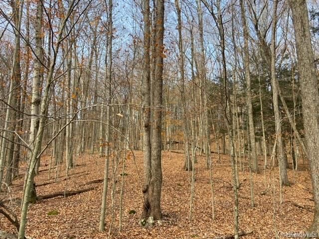 Glenwild Drive, Smallwood, NY 12778