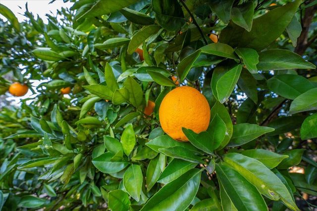 2850 Balaton Avenue, Redding, CA 96001