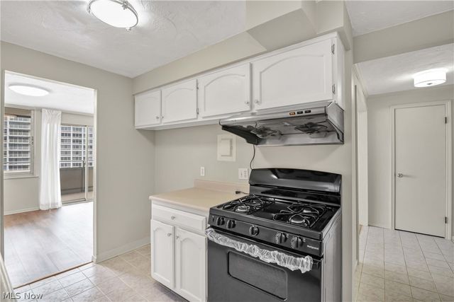12900 Lake Avenue 1707, Lakewood, OH 44107