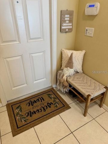 20418 NEEDLETREE DRIVE, Tampa, FL 33647