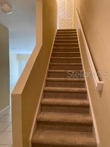 20418 NEEDLETREE DRIVE, Tampa, FL 33647