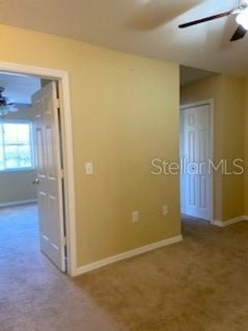 20418 NEEDLETREE DRIVE, Tampa, FL 33647