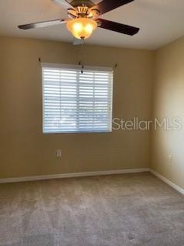 20418 NEEDLETREE DRIVE, Tampa, FL 33647