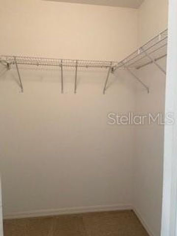 20418 NEEDLETREE DRIVE, Tampa, FL 33647