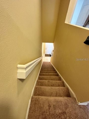 20418 NEEDLETREE DRIVE, Tampa, FL 33647