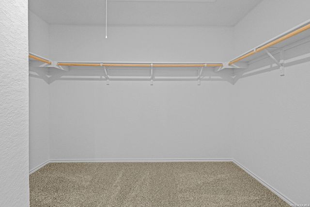 326 Bluetick Trail, Seguin, TX 78155