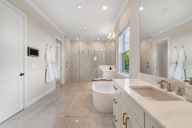 10175 BROCKSPORT CIRCLE, Gotha, FL 34734