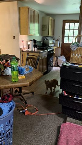 4882 W Bluewater Highway, Saranac, MI 48881
