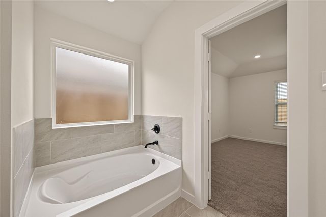 3423 Windmill Palm Drive, Manvel, TX 77578