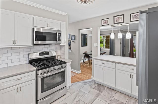 1310 Lanvale Drive, Webster Groves, MO 63119