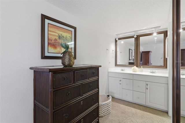 29130 BAY HOLLOW DRIVE 3312, Wesley Chapel, FL 33543