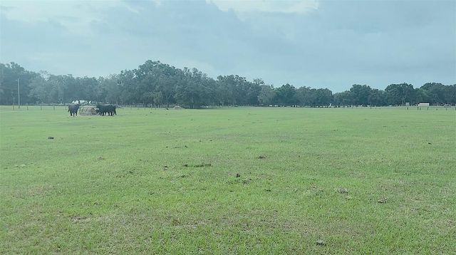 10710 MCINTOSH ROAD, Thonotosassa, FL 33592