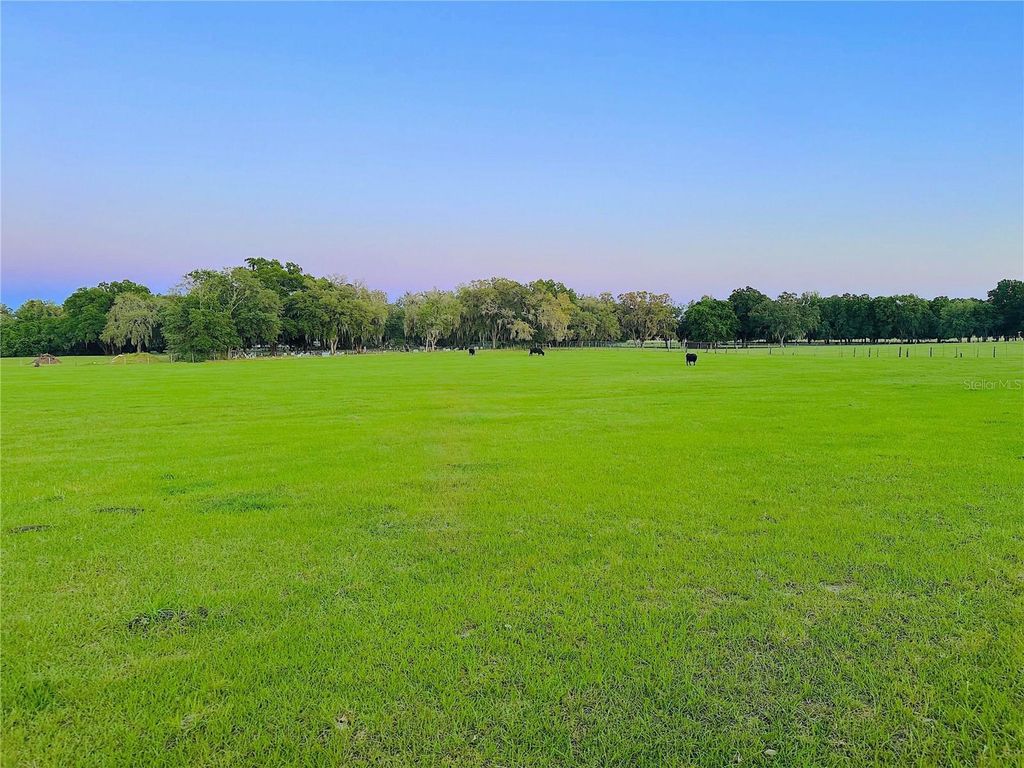 10710 MCINTOSH ROAD, Thonotosassa, FL 33592