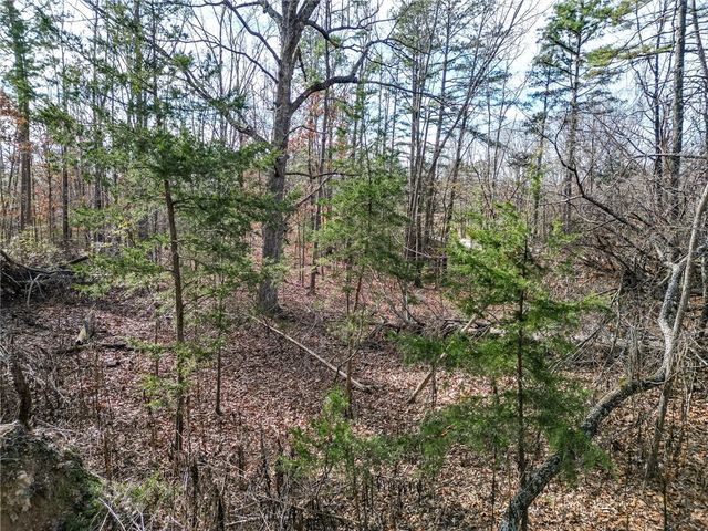 Lot 1 Blisslake Lane, Rogers, AR 72756