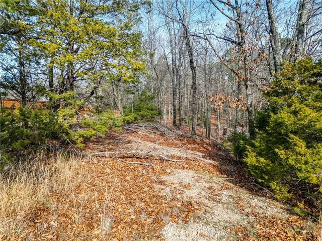 Lot 1 Blisslake Lane, Rogers, AR 72756