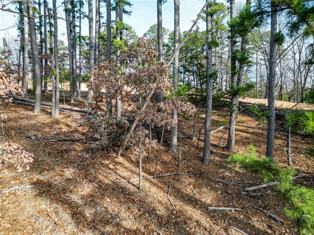 Lot 1 Blisslake Lane, Rogers, AR 72756