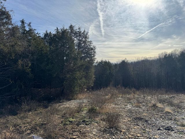 11175 New Columbus Road, Owenton, KY 40359