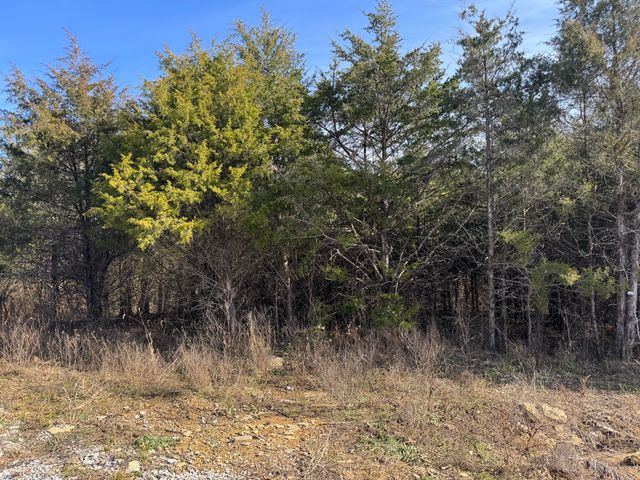 11175 New Columbus Road, Owenton, KY 40359