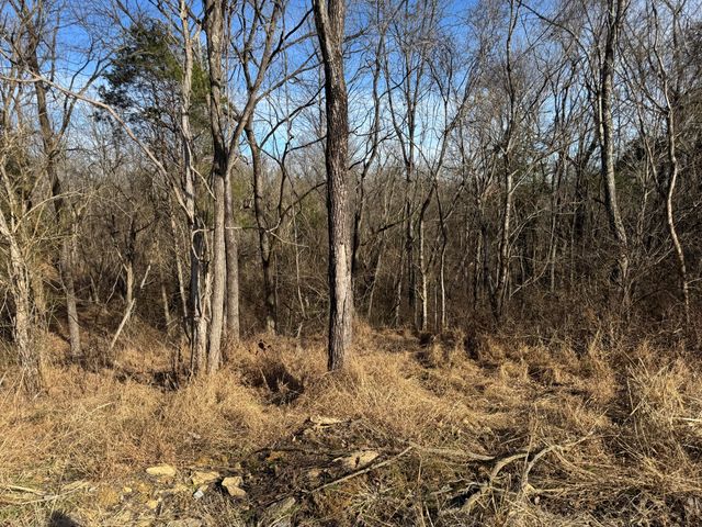 11175 New Columbus Road, Owenton, KY 40359