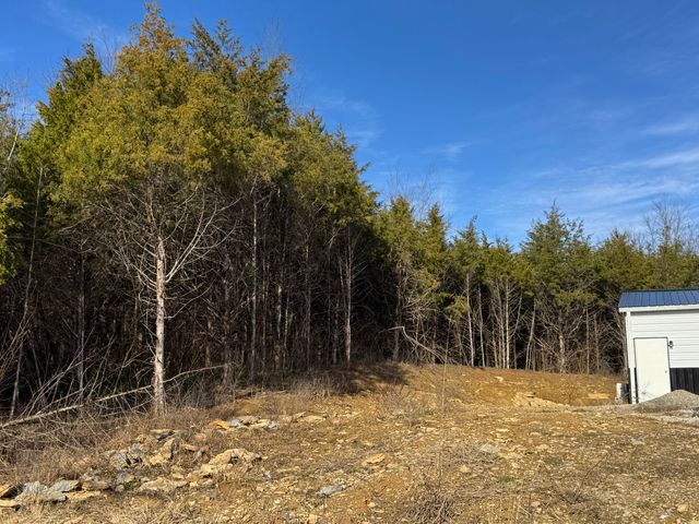 11175 New Columbus Road, Owenton, KY 40359