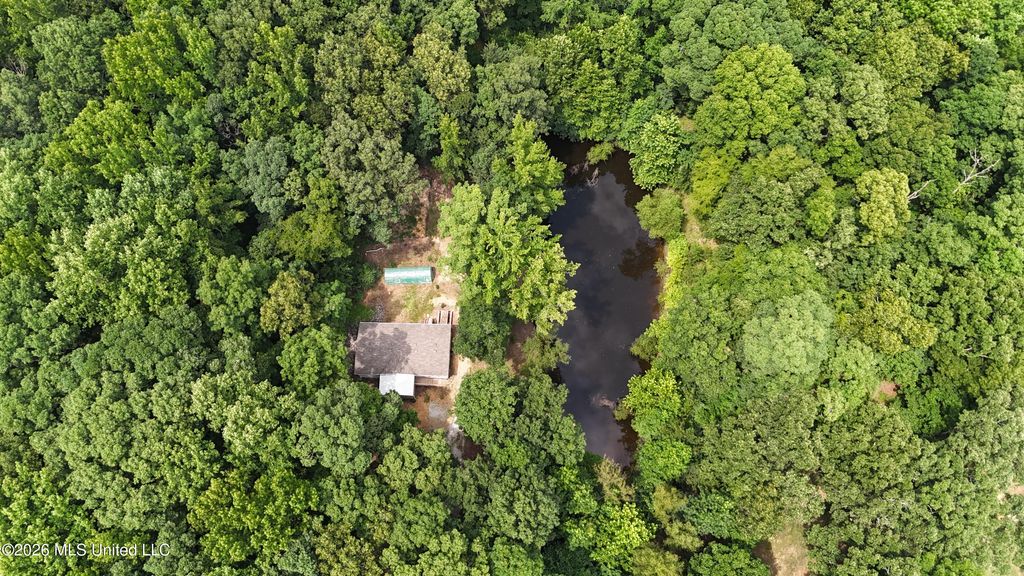 175 Shipp Lane, Holly Springs, MS 38635 — photo 3