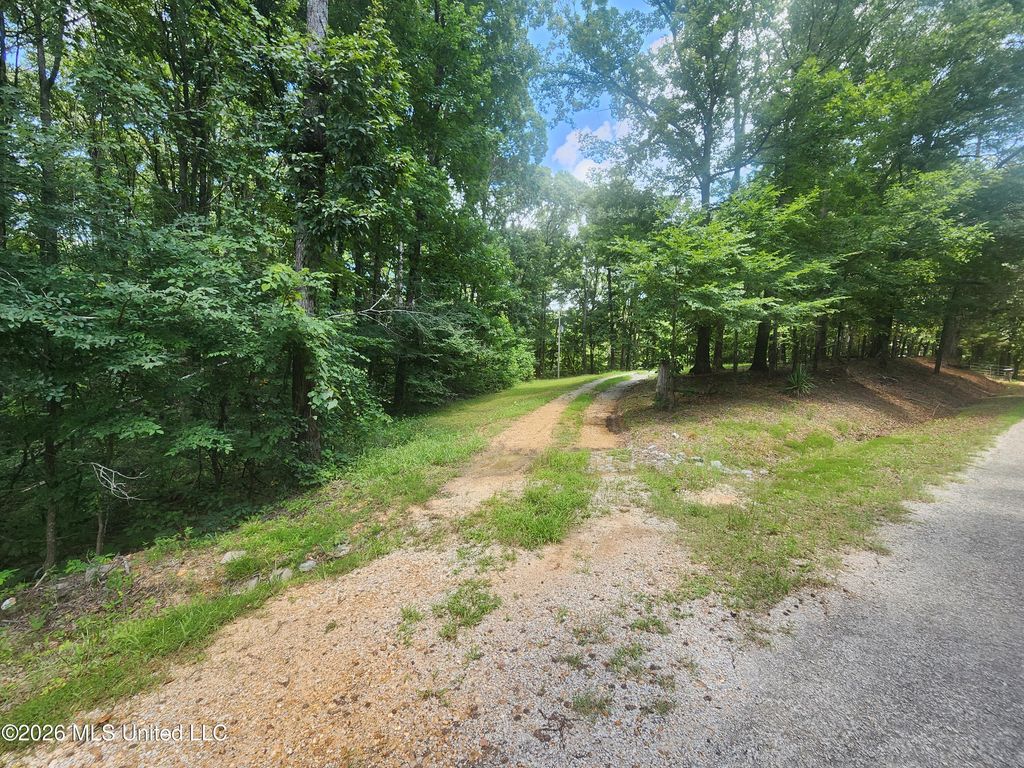 175 Shipp Lane, Holly Springs, MS 38635 — photo 5