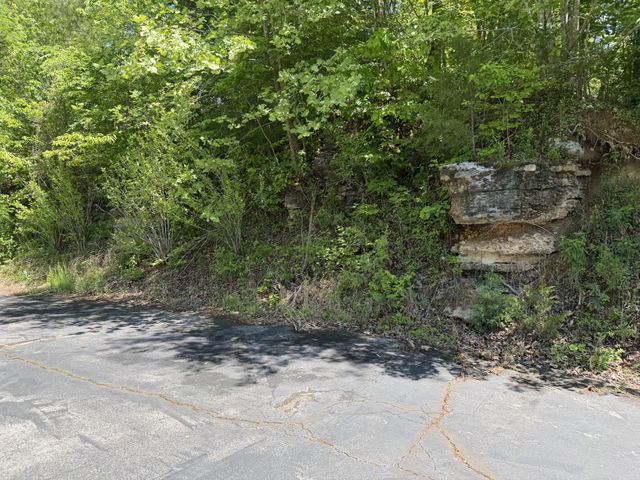 242 Cane Creek Rd, Hohenwald, TN 38462