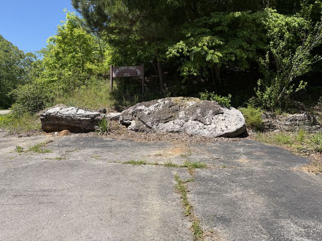 242 Cane Creek Rd, Hohenwald, TN 38462