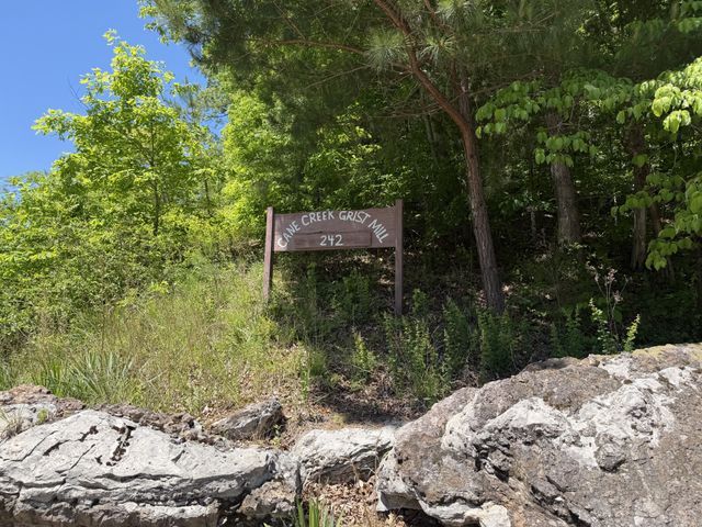 242 Cane Creek Rd, Hohenwald, TN 38462