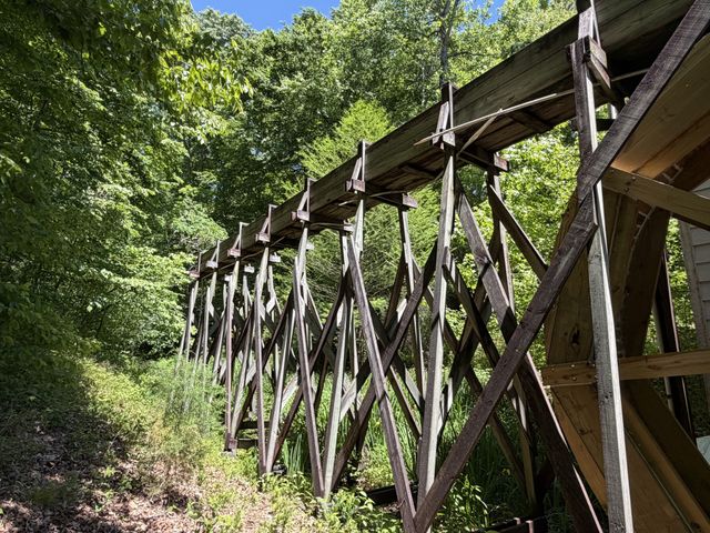 242 Cane Creek Rd, Hohenwald, TN 38462