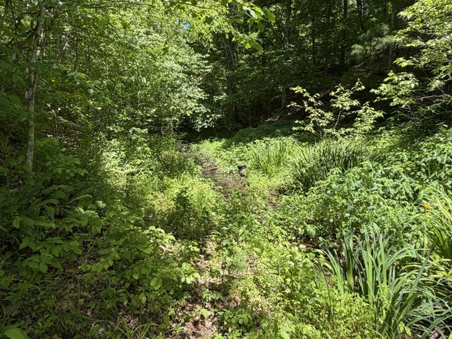 242 Cane Creek Rd, Hohenwald, TN 38462