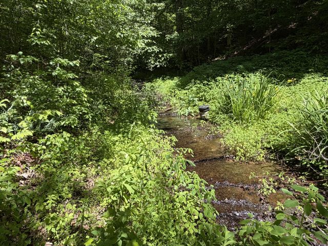 242 Cane Creek Rd, Hohenwald, TN 38462