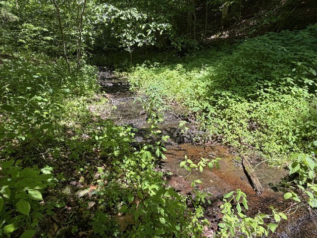 242 Cane Creek Rd, Hohenwald, TN 38462