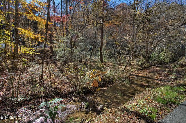 1968 E Millers Cove Rd, Walland, TN 37886