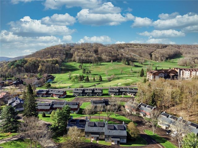 10 Alpine 10, Ellicottville, NY 14731