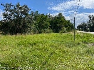 715 S Young Avenue, Avon Park, FL 33825