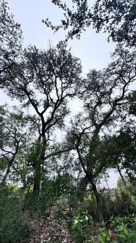 673 Yorks XING, Driftwood, TX 78619