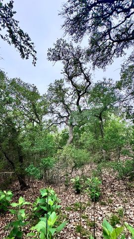 673 Yorks XING, Driftwood, TX 78619