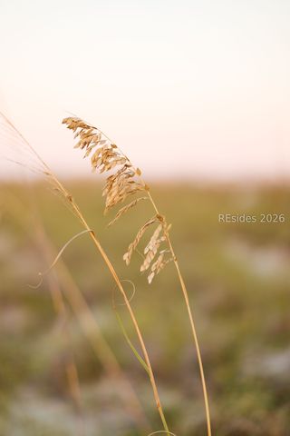 848 Marsh Dunes Rd, Fripp Island, SC 29920