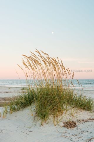 848 Marsh Dunes Rd, Fripp Island, SC 29920