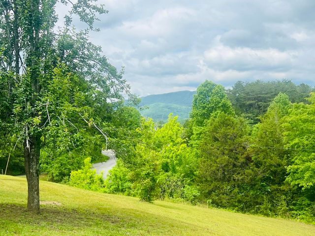 105 Lola Drive, Farner, TN 37333