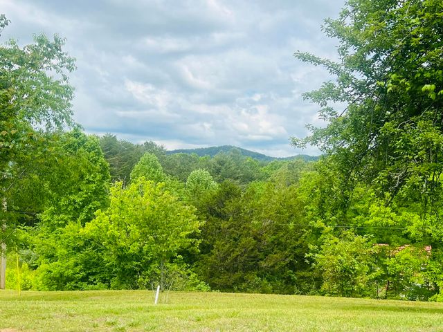 105 Lola Drive, Farner, TN 37333
