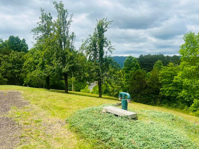 105 Lola Drive, Farner, TN 37333